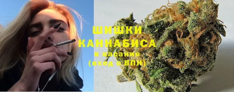 цена наркотик  Саранск  Канабис Ganja 